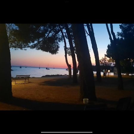 Apartman Sija Novigrad Novigrad Istria 외부 사진