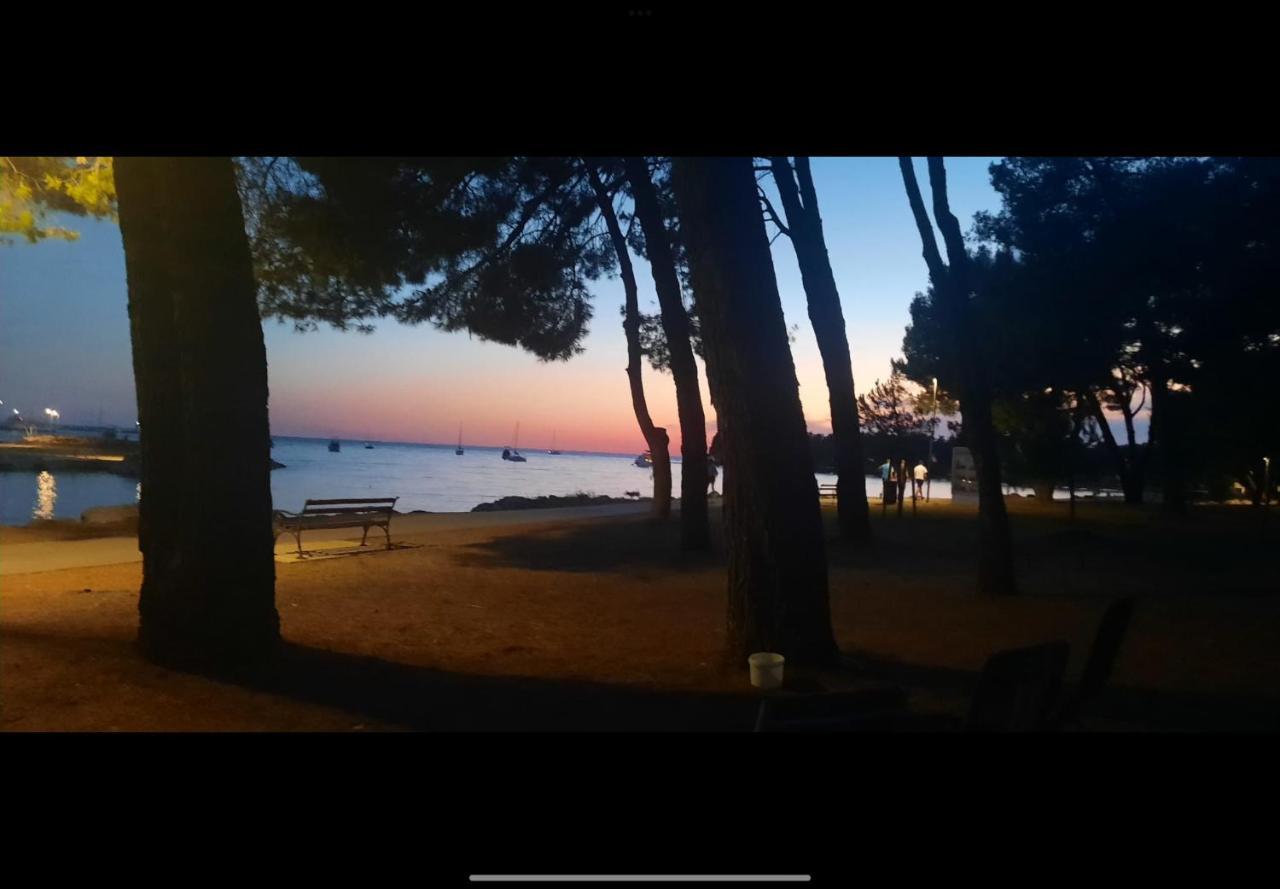 Apartman Sija Novigrad Novigrad Istria 외부 사진